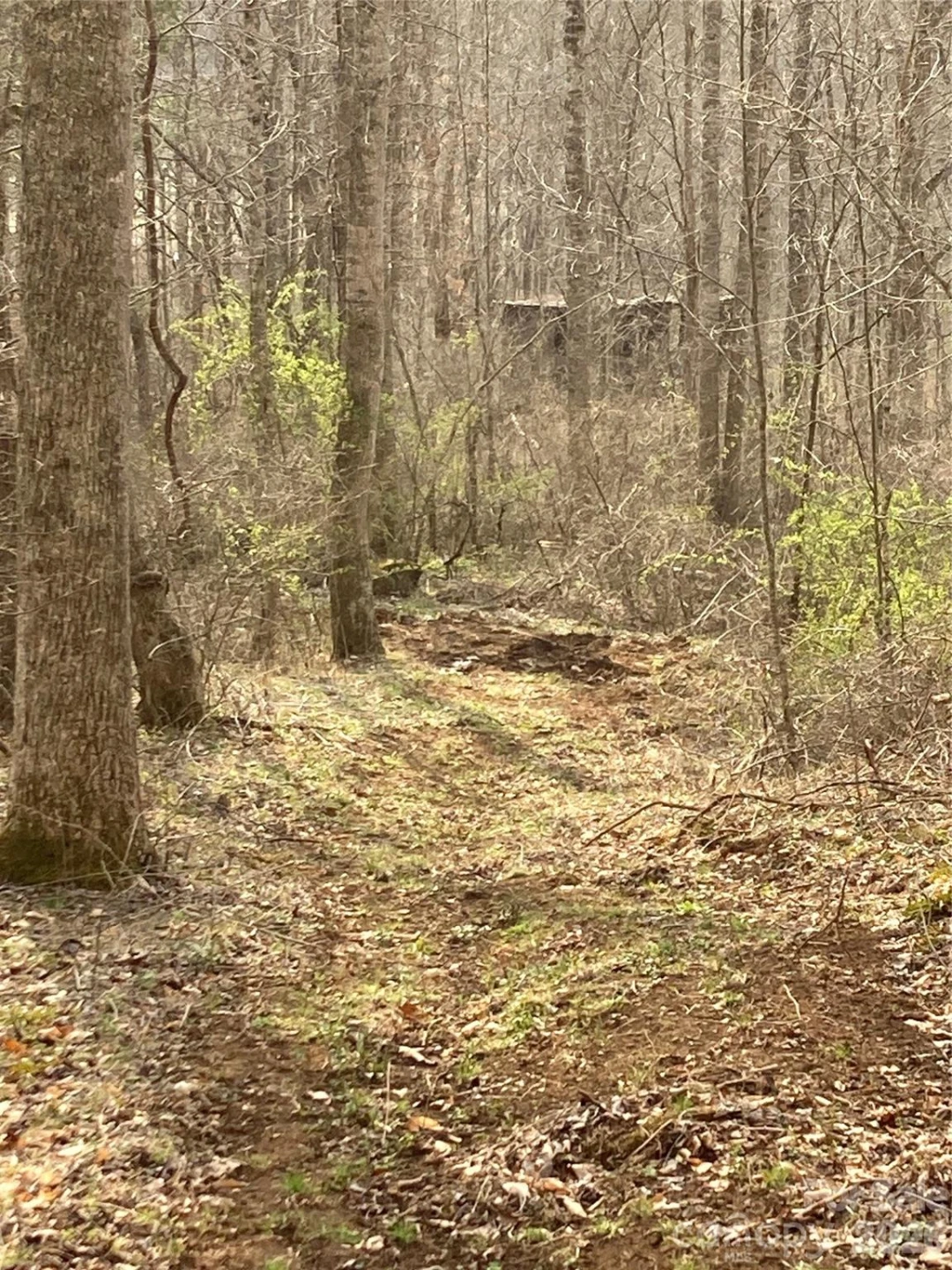 00 Sweet Creek Road - Photo 27