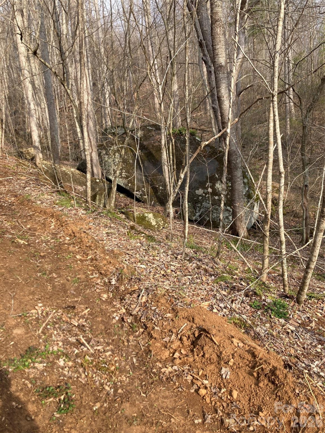 00 Sweet Creek Road - Photo 28