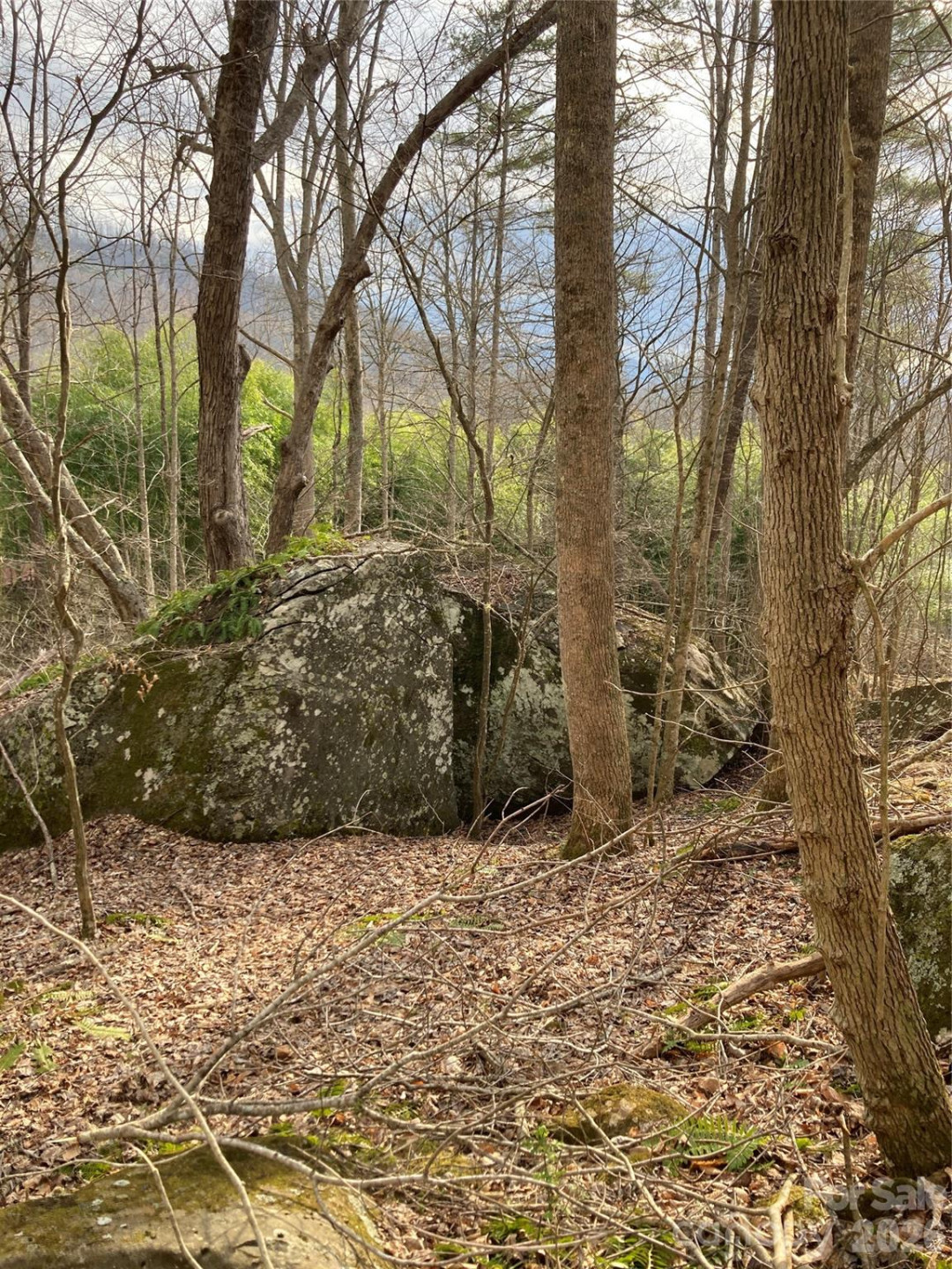 00 Sweet Creek Road - Photo 29