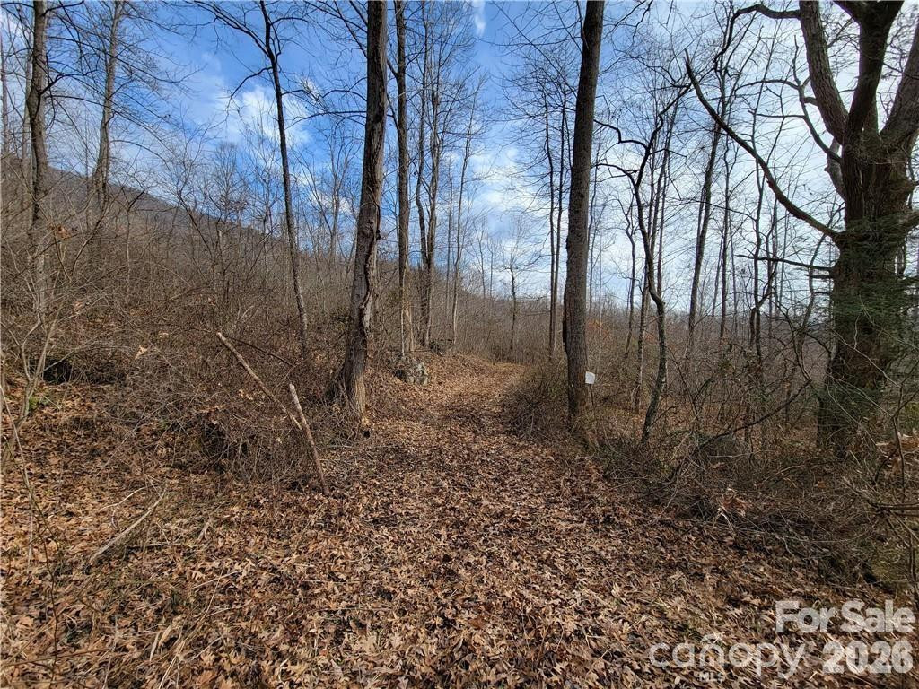 00 Sweet Creek Road - Photo 3