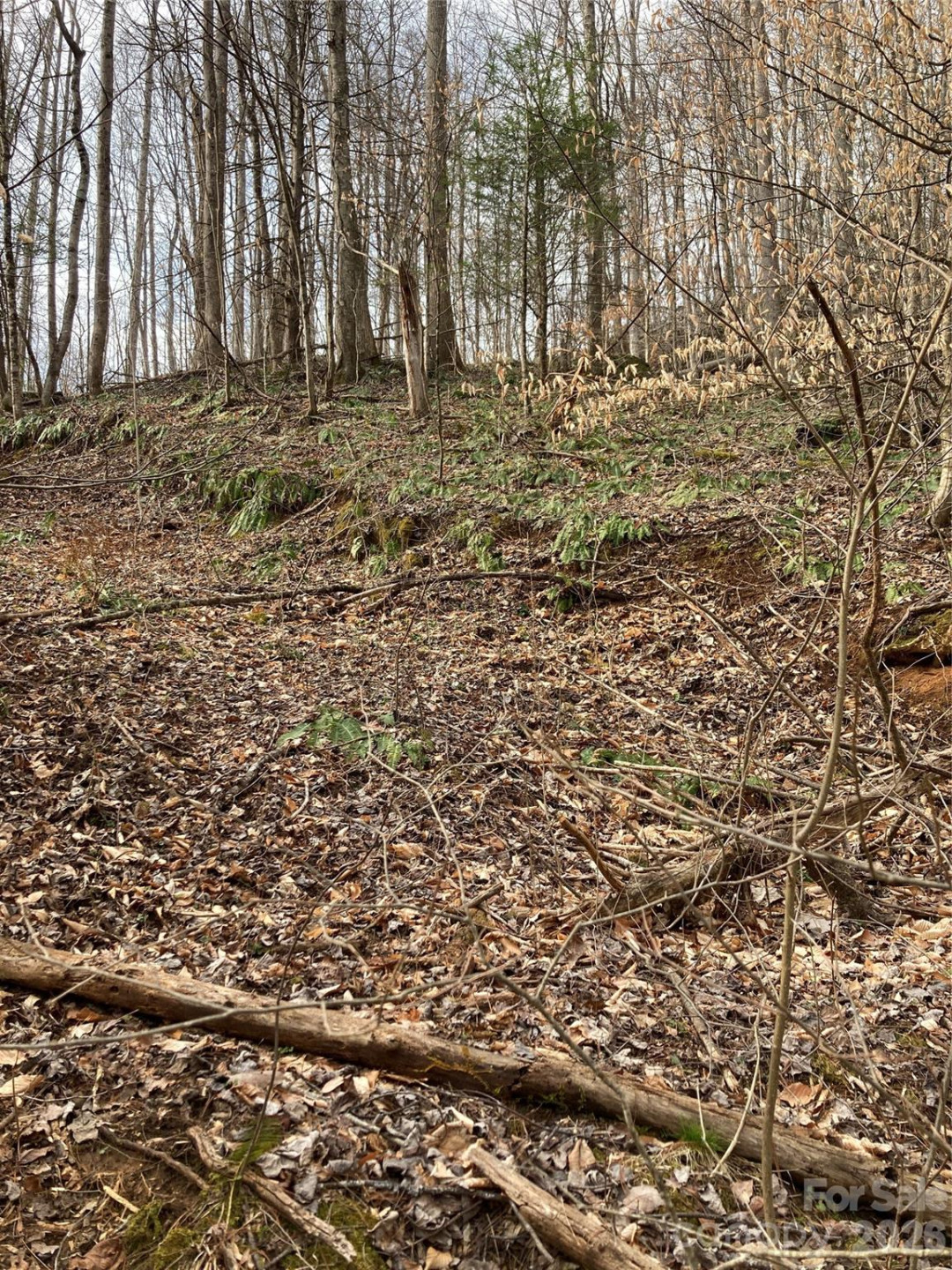 00 Sweet Creek Road - Photo 31