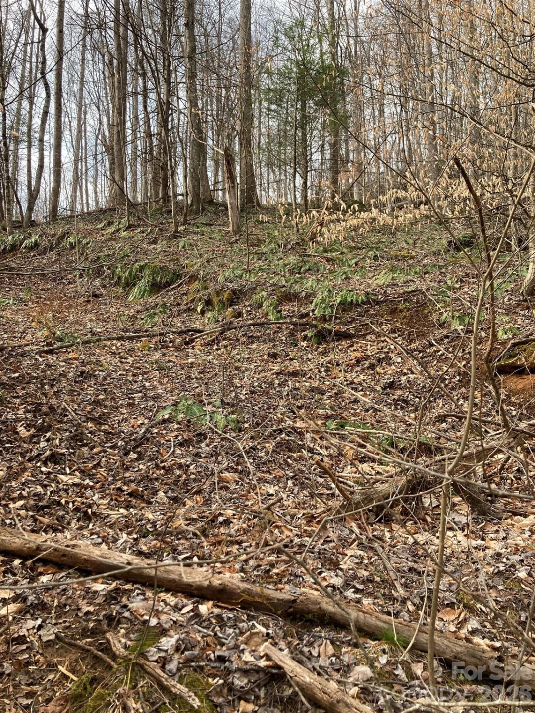 00 Sweet Creek Road - Photo 31