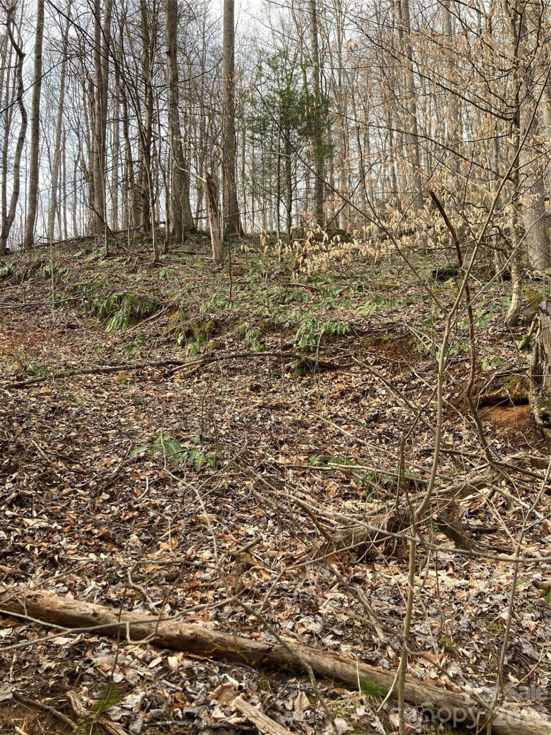 00 Sweet Creek Road - Photo 32