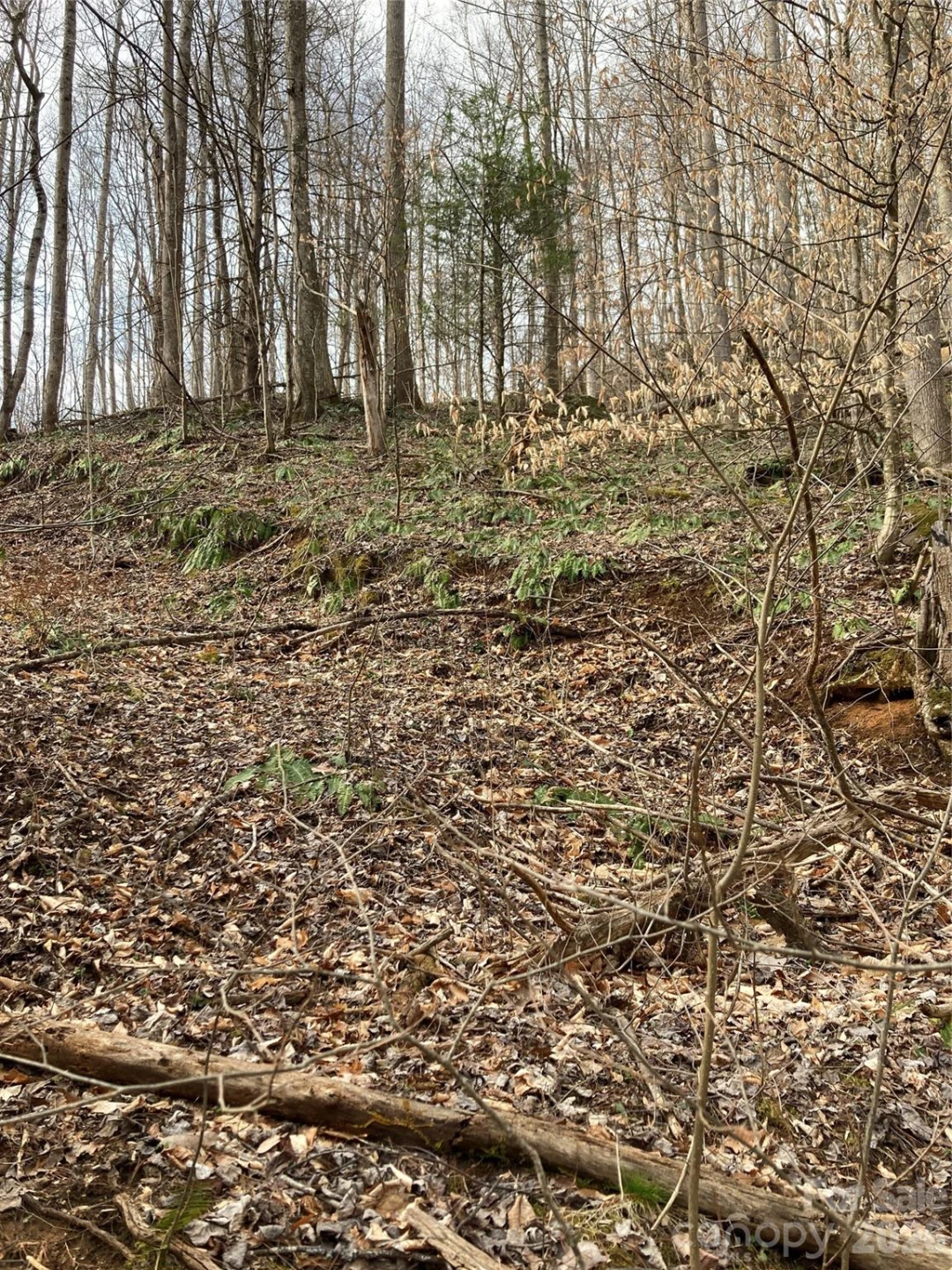 00 Sweet Creek Road - Photo 32