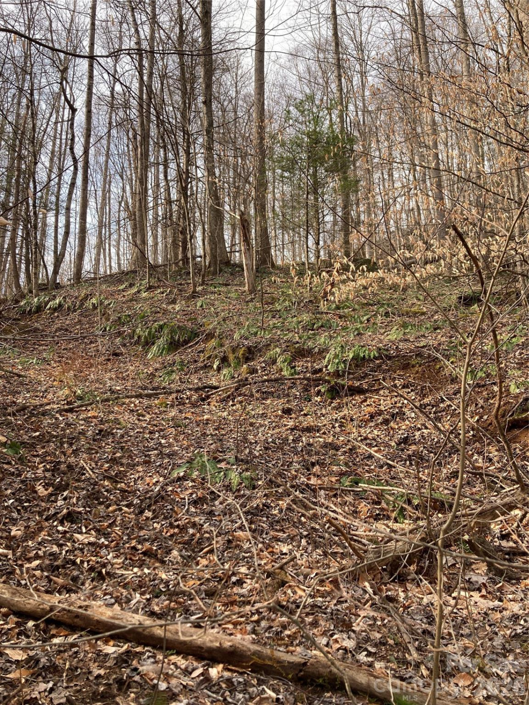 00 Sweet Creek Road - Photo 33