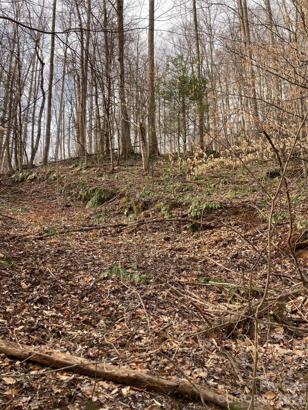 00 Sweet Creek Road - Photo 33