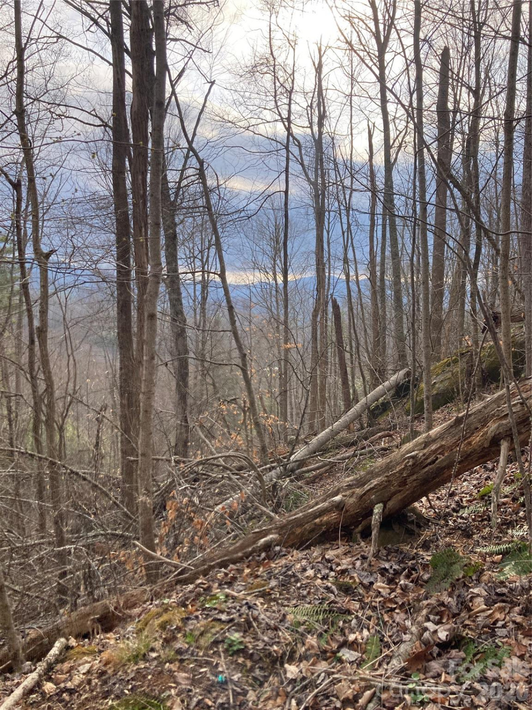 00 Sweet Creek Road - Photo 34