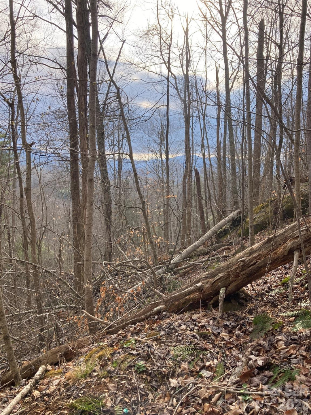 00 Sweet Creek Road - Photo 35