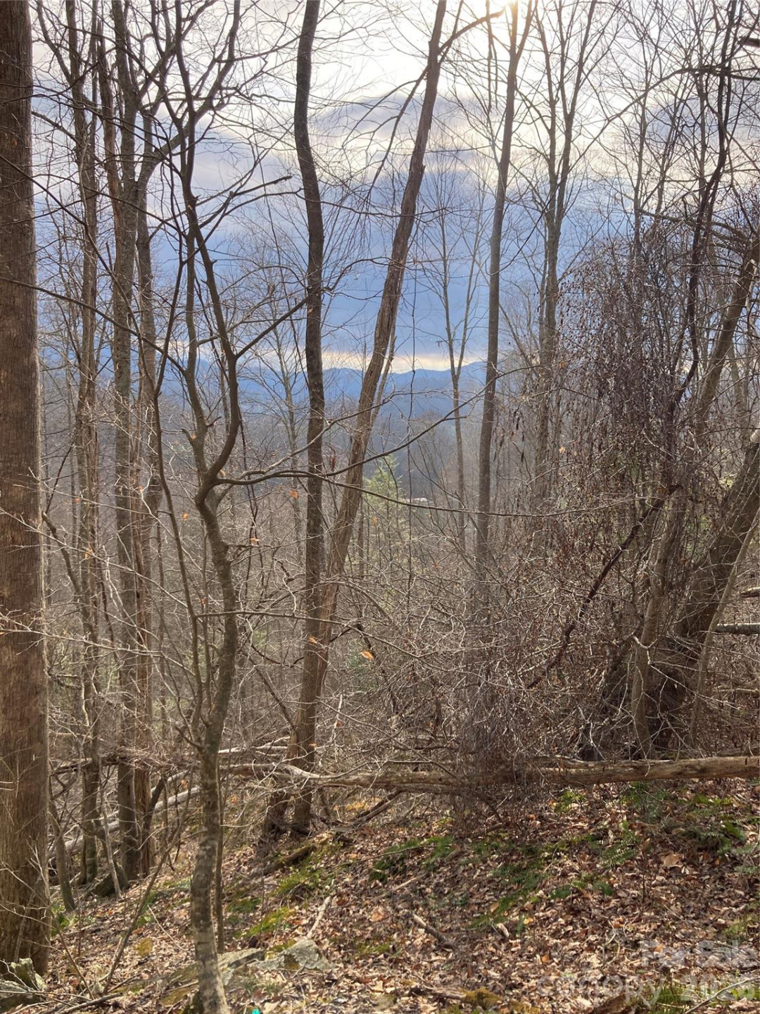 00 Sweet Creek Road - Photo 36