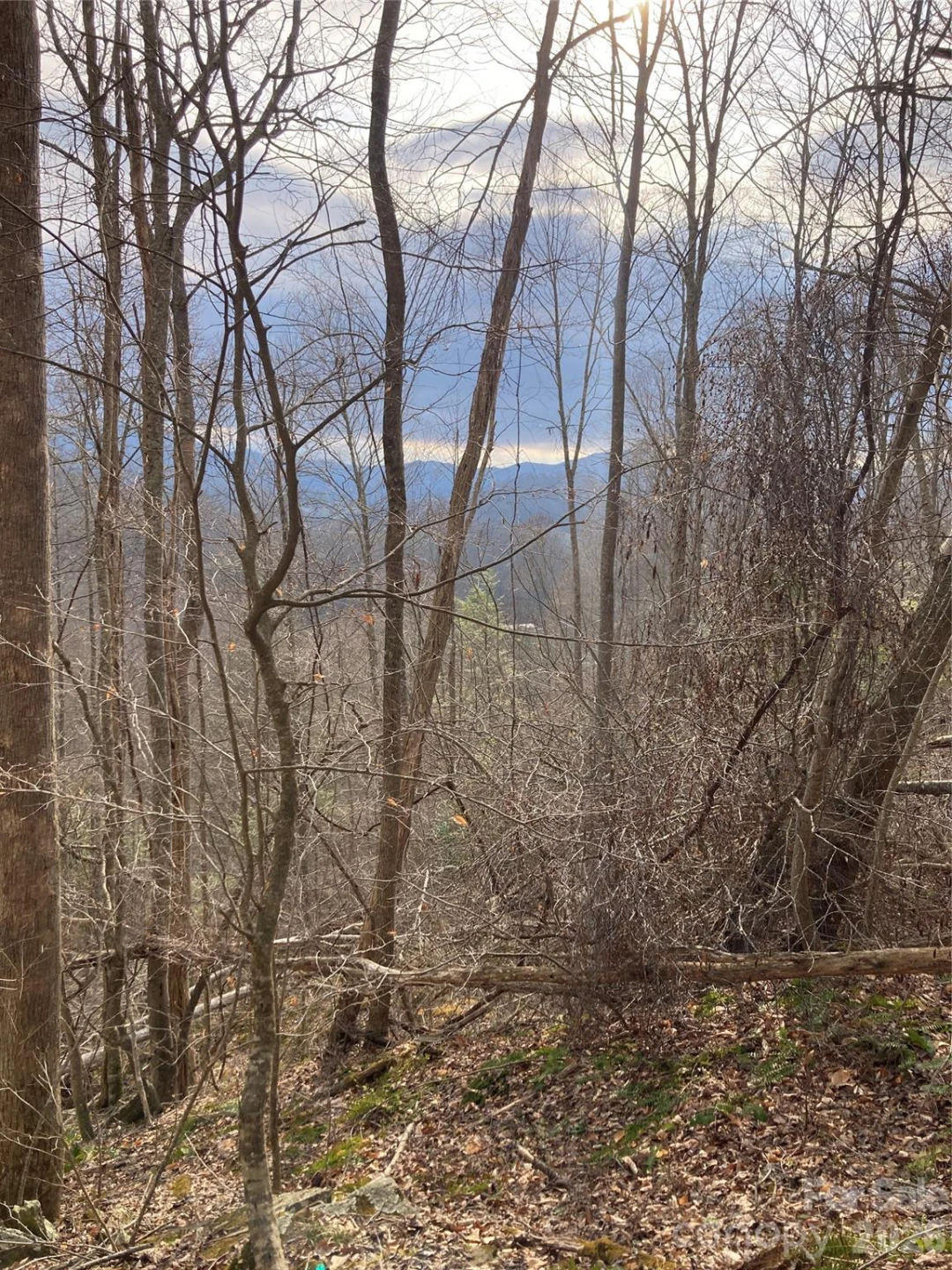 00 Sweet Creek Road - Photo 36