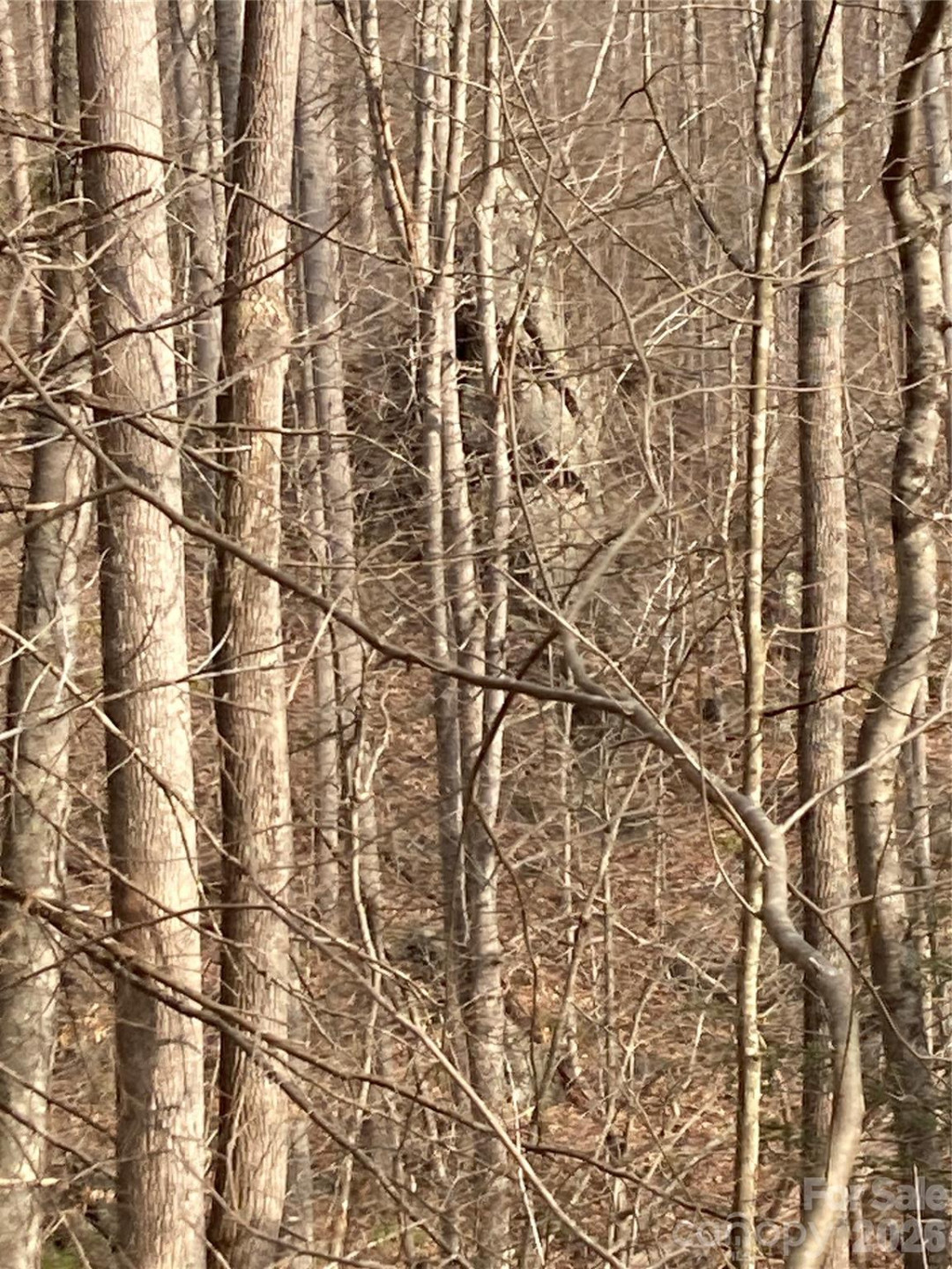 00 Sweet Creek Road - Photo 37