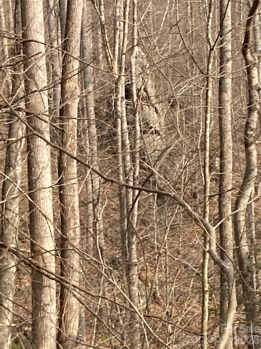 00 Sweet Creek Road - Photo 37