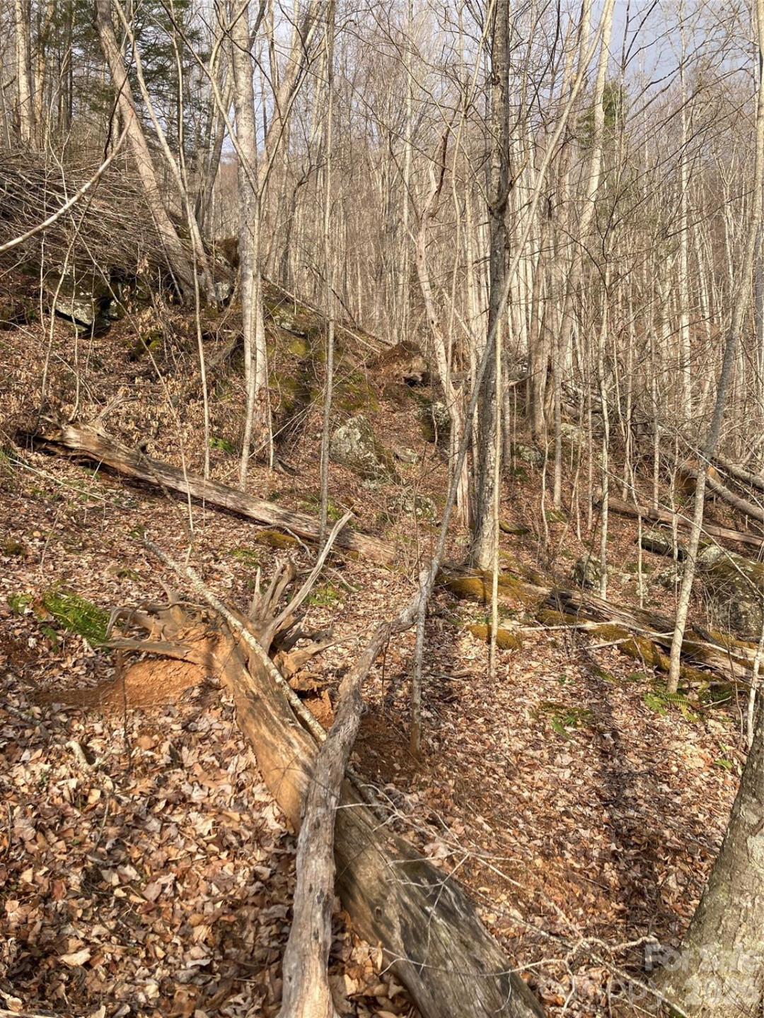 00 Sweet Creek Road - Photo 38