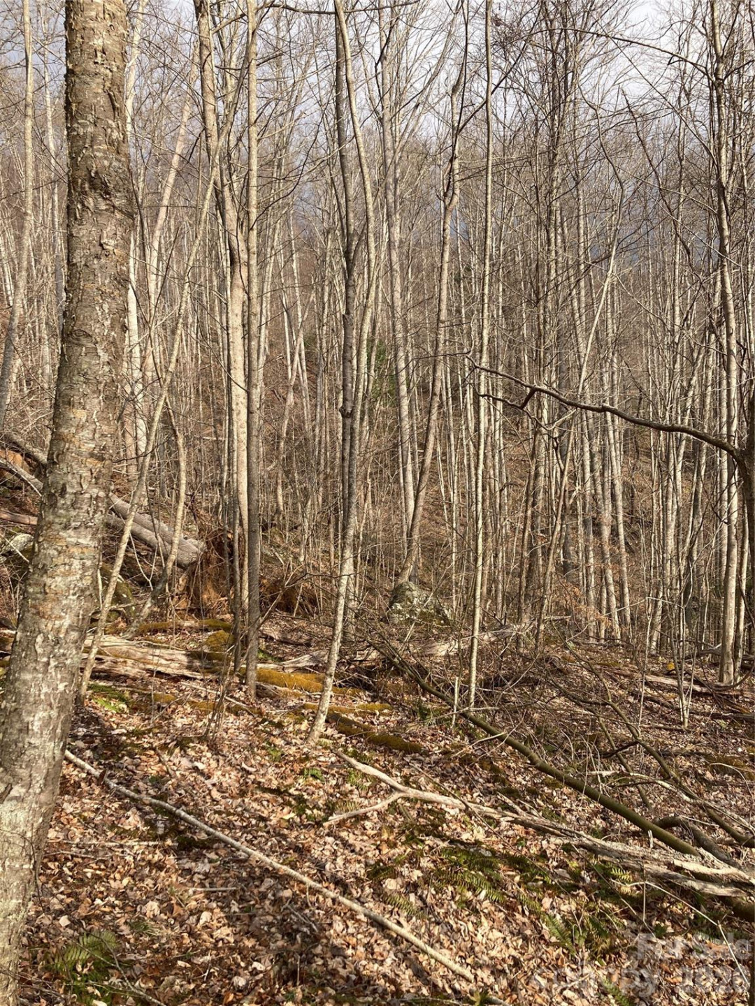 00 Sweet Creek Road - Photo 39