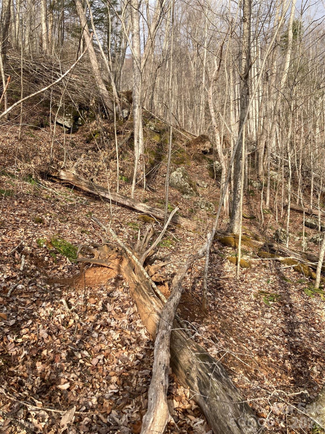 00 Sweet Creek Road - Photo 40