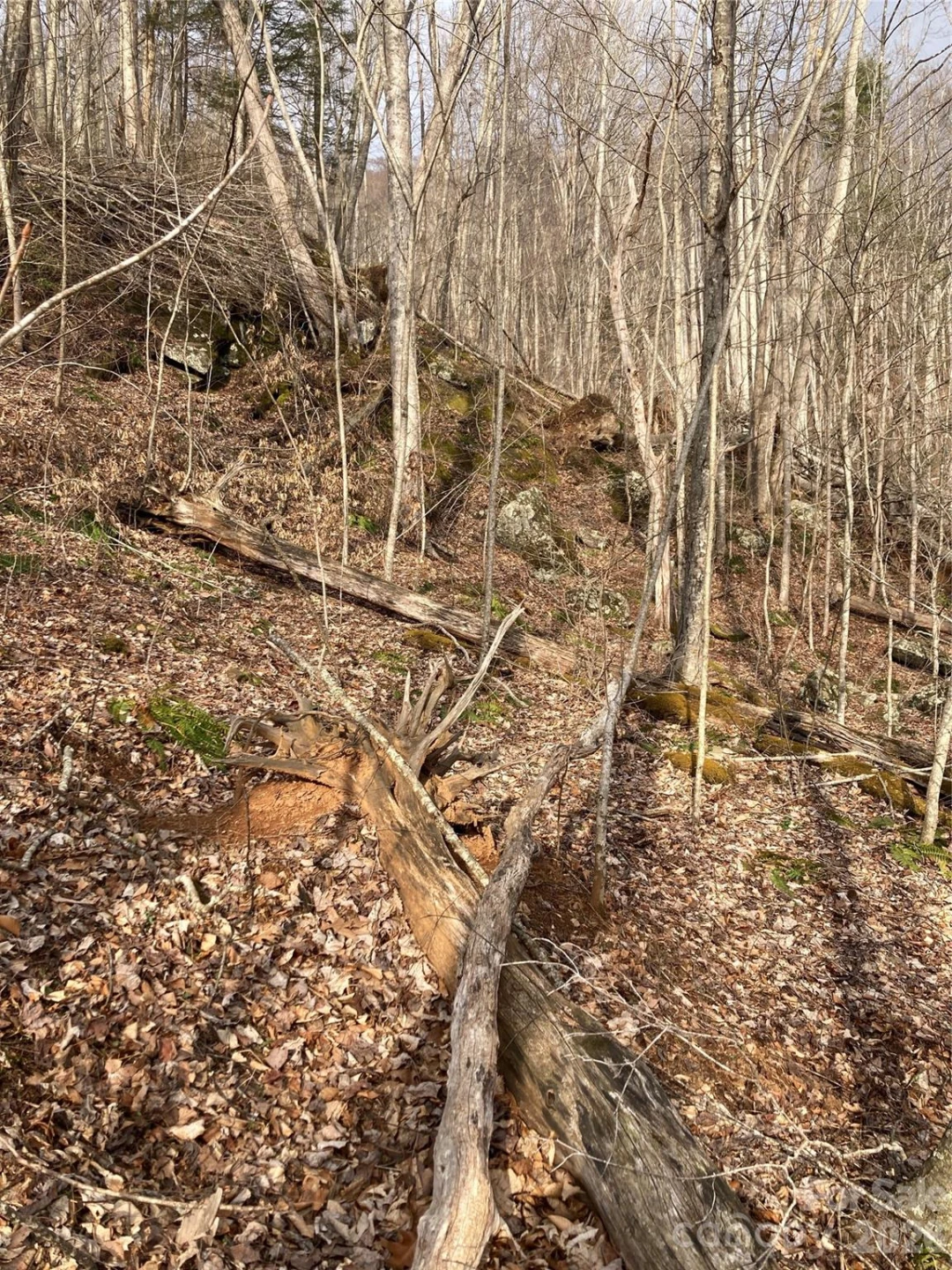 00 Sweet Creek Road - Photo 40