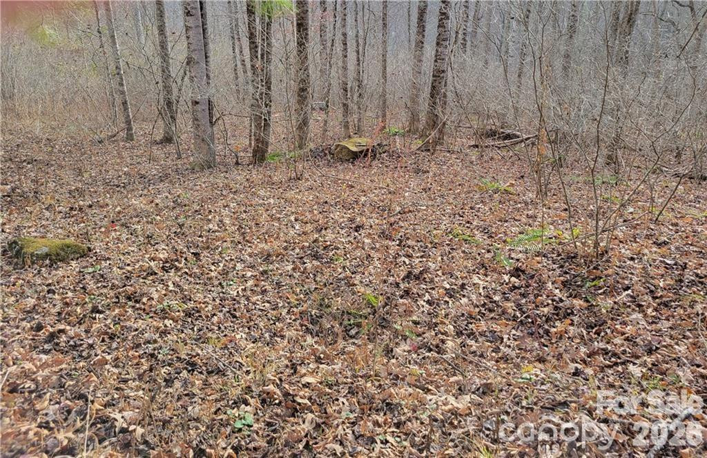 00 Sweet Creek Road - Photo 4