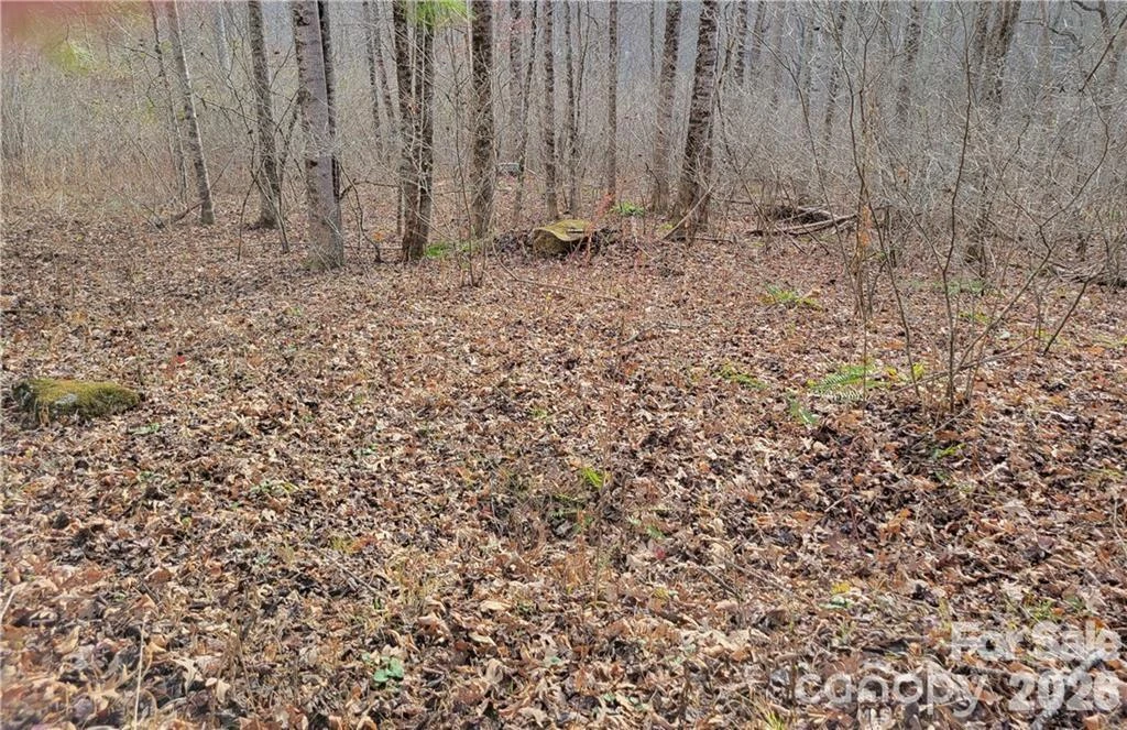00 Sweet Creek Road - Photo 4