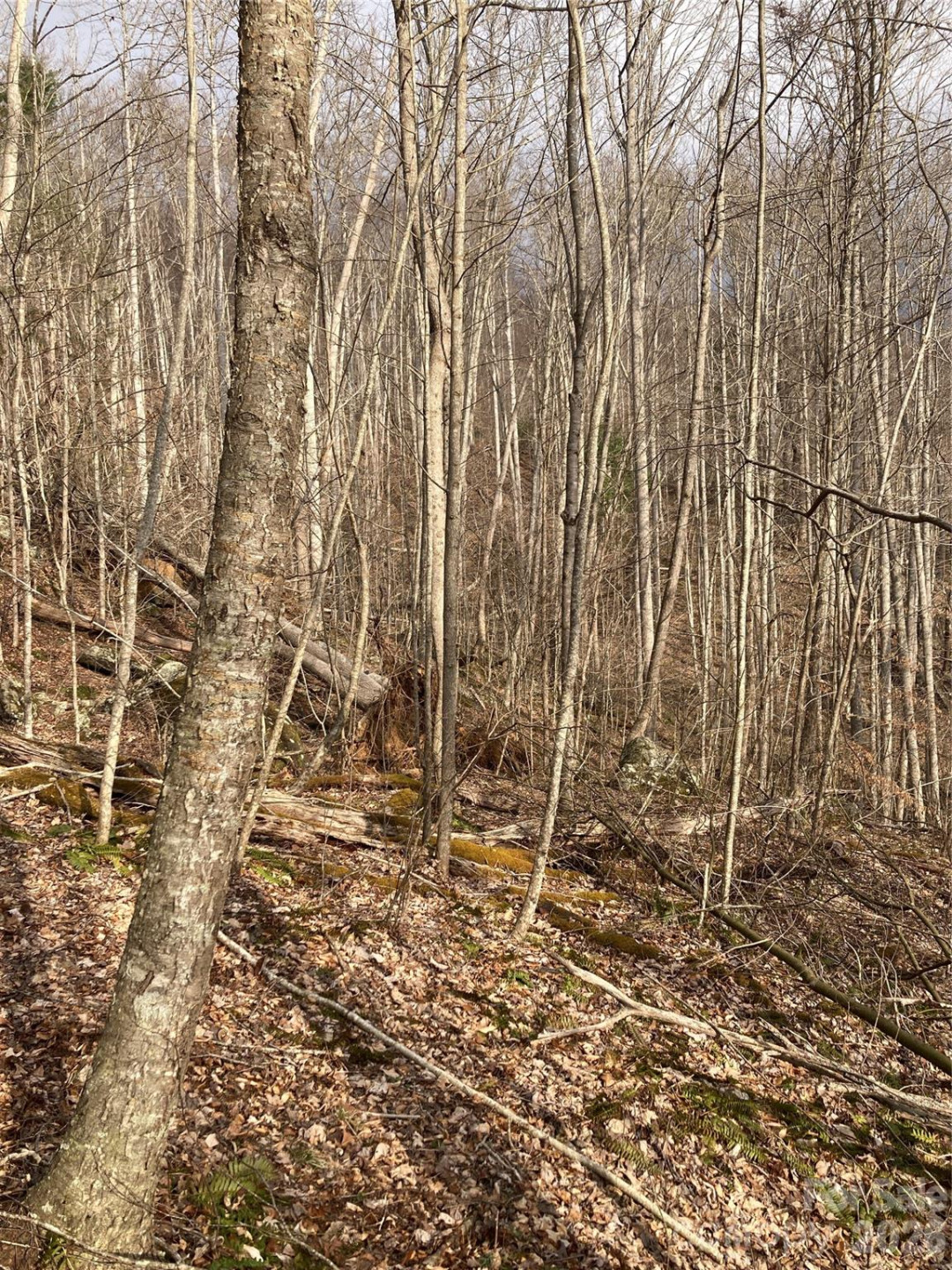 00 Sweet Creek Road - Photo 41