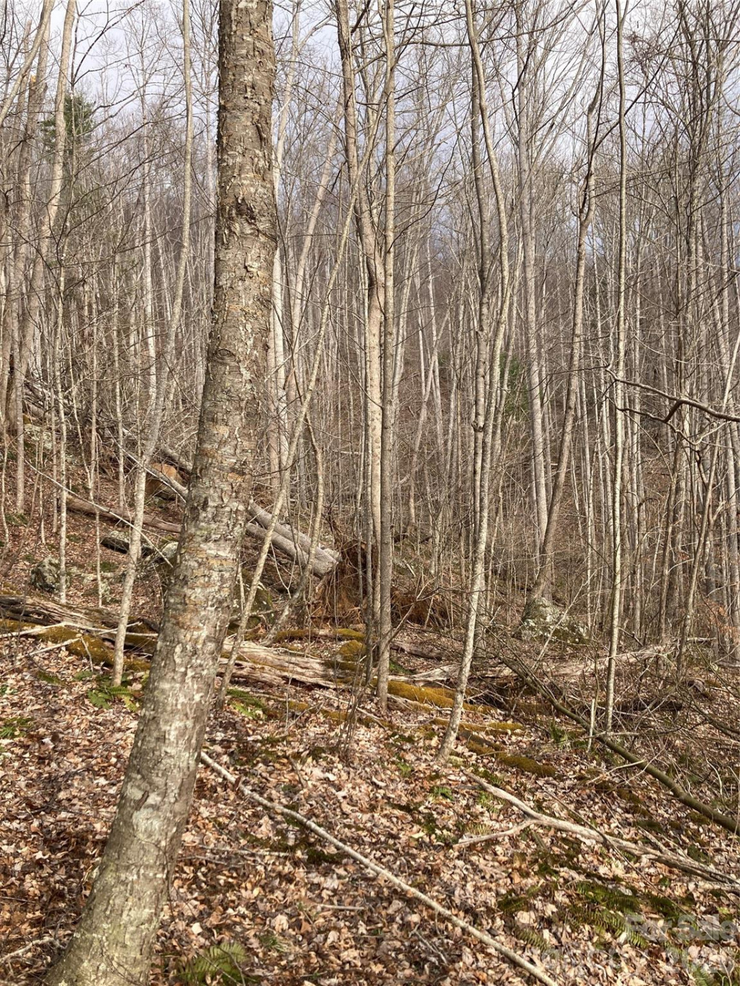 00 Sweet Creek Road - Photo 42