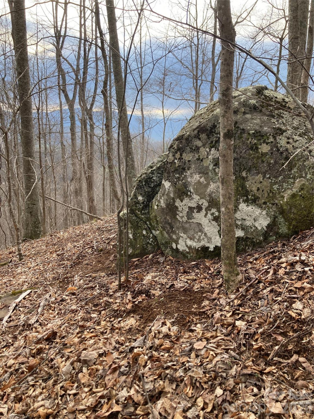 00 Sweet Creek Road - Photo 43