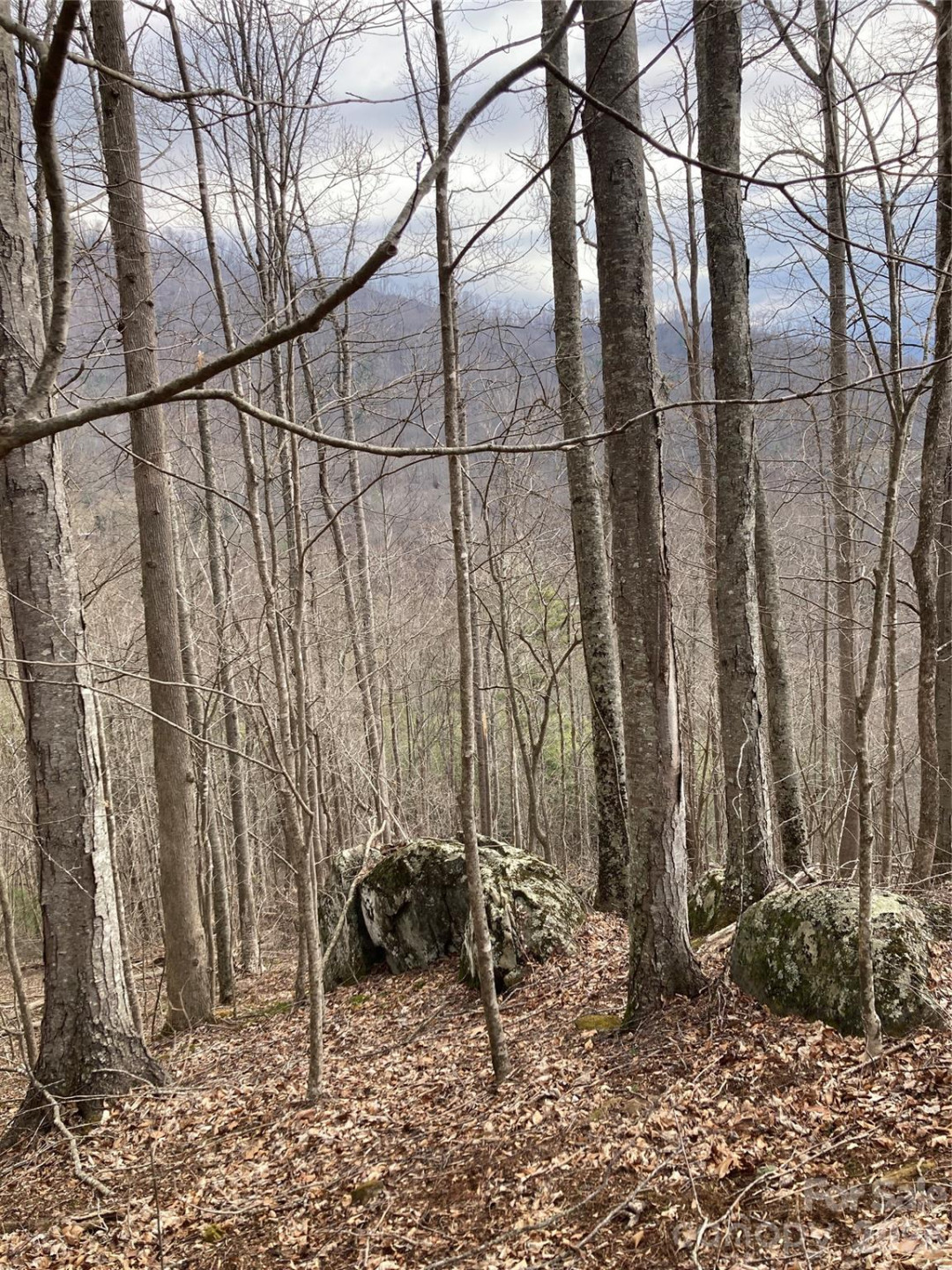 00 Sweet Creek Road - Photo 44