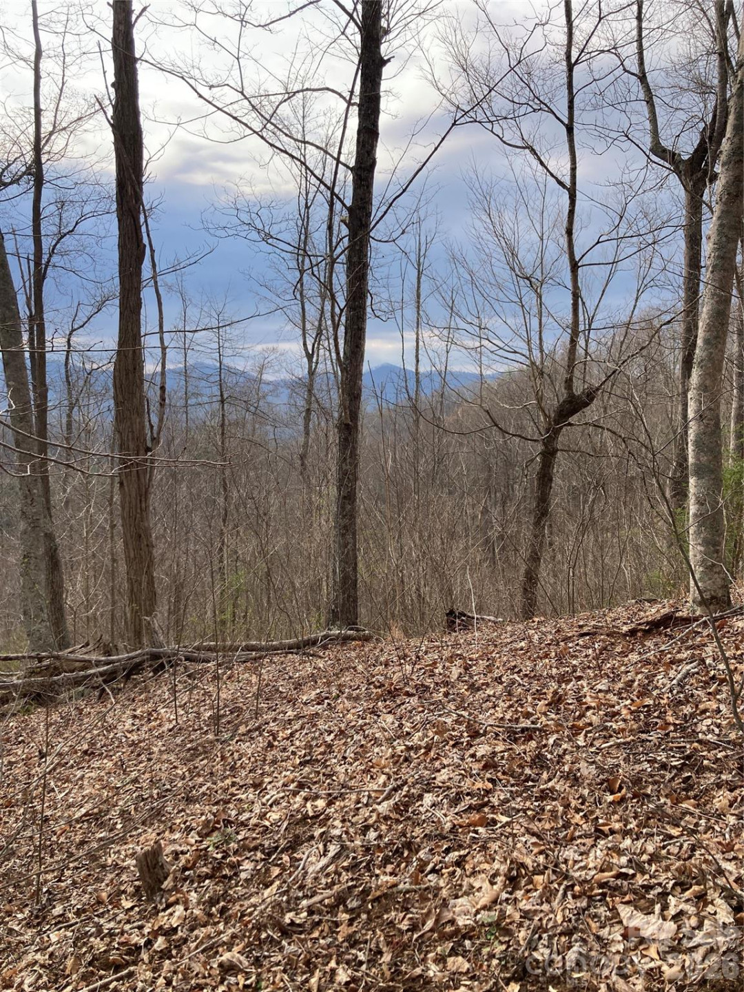 00 Sweet Creek Road - Photo 45