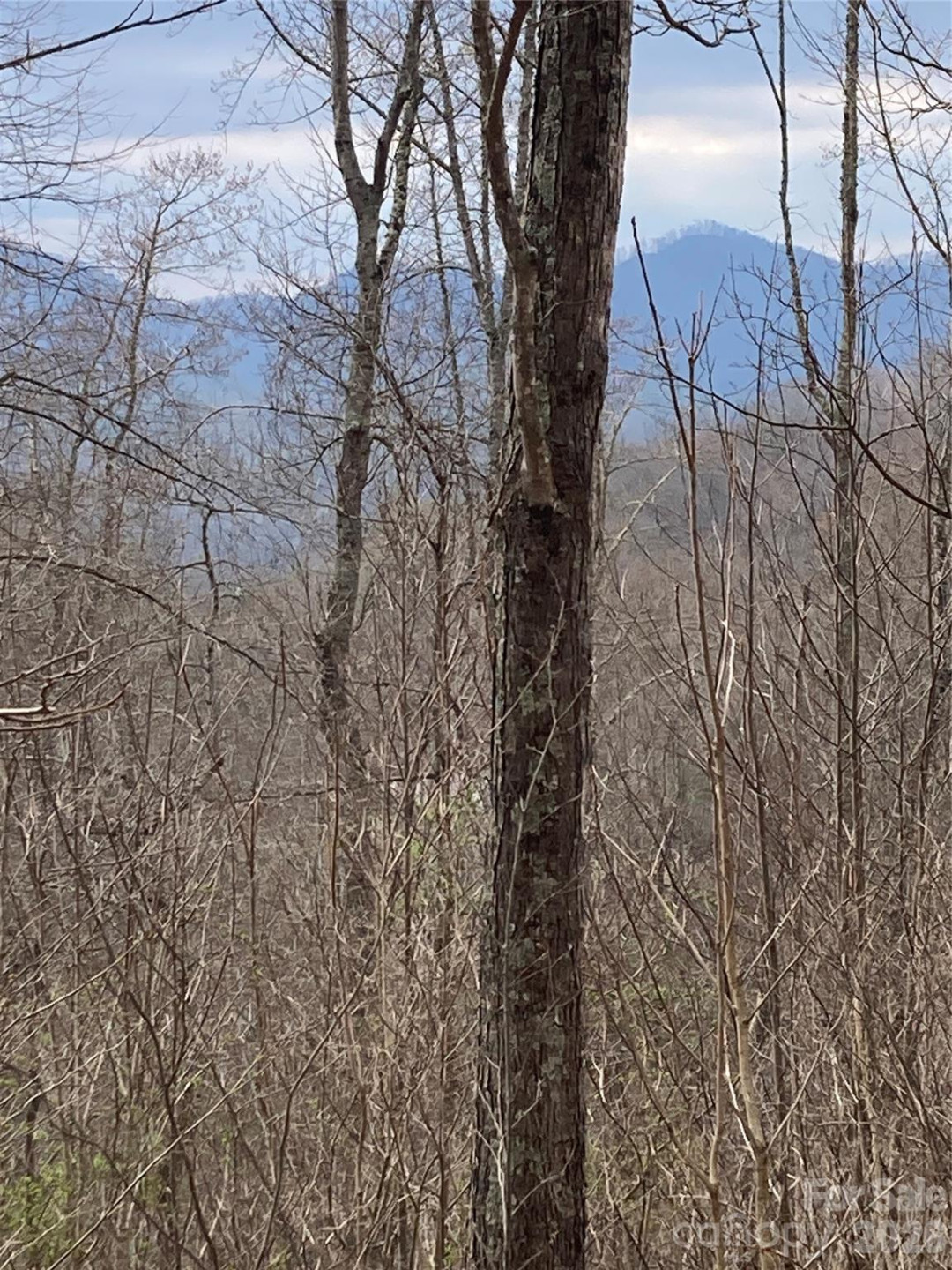 00 Sweet Creek Road - Photo 46