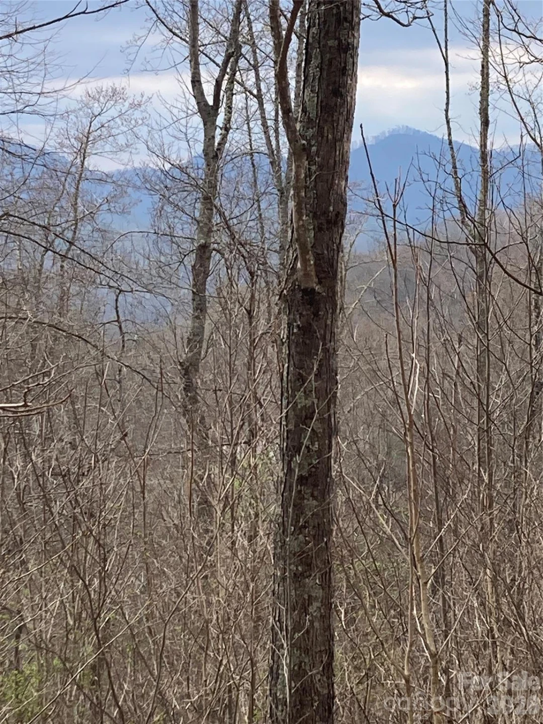 00 Sweet Creek Road - Photo 46