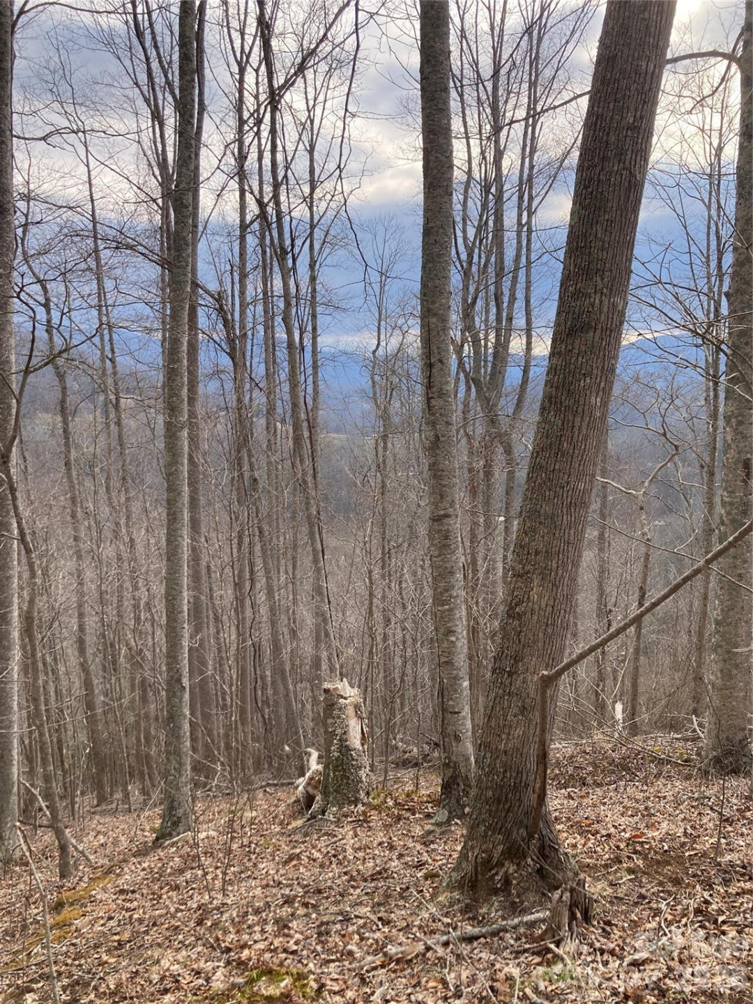 00 Sweet Creek Road - Photo 47