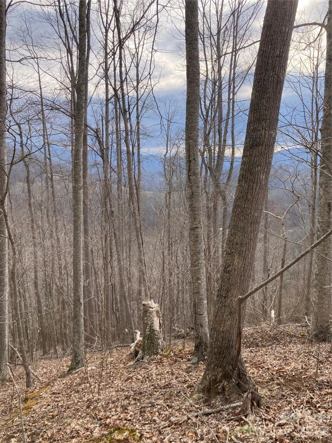 00 Sweet Creek Road - Photo 47