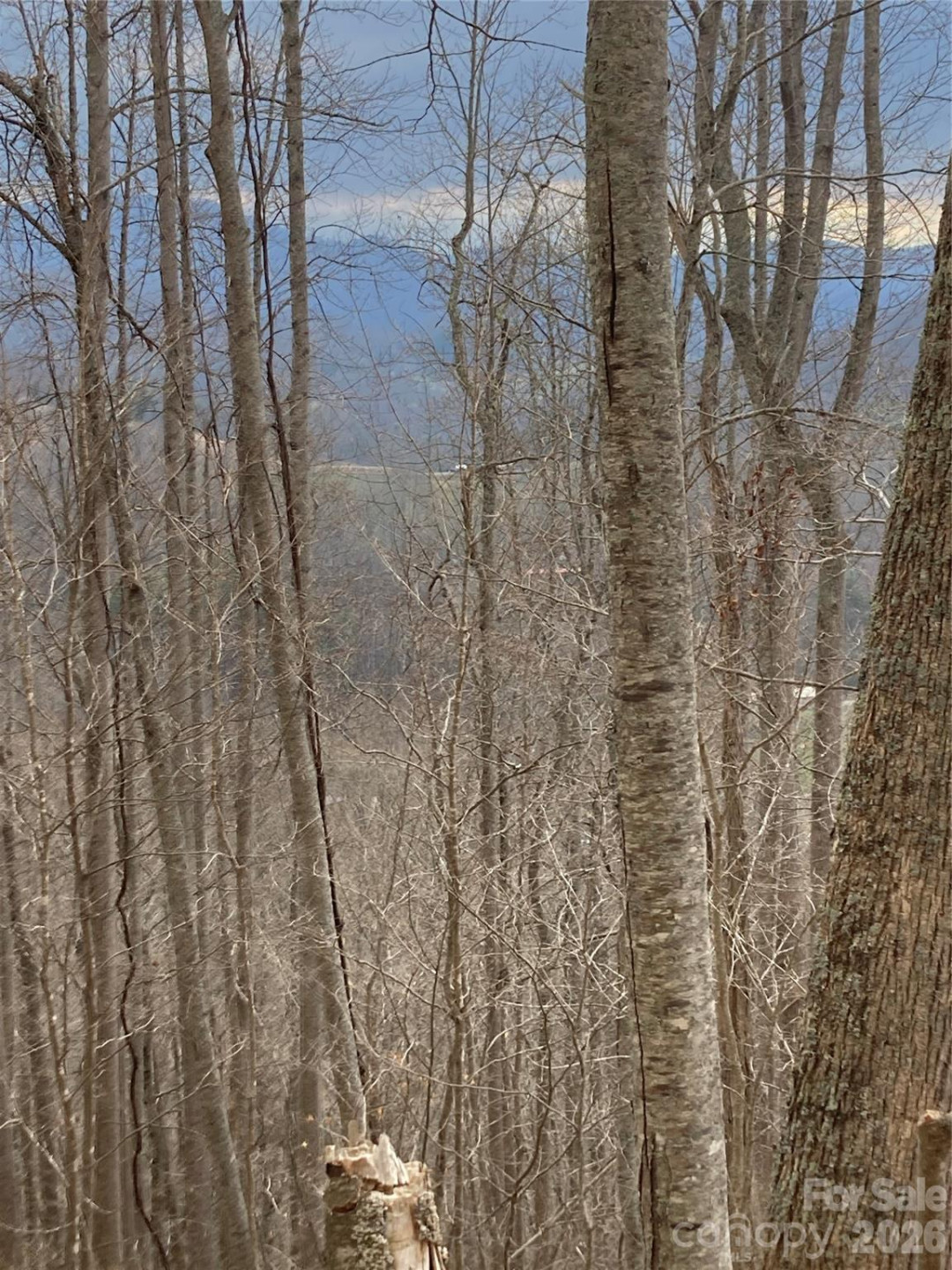 00 Sweet Creek Road - Photo 48