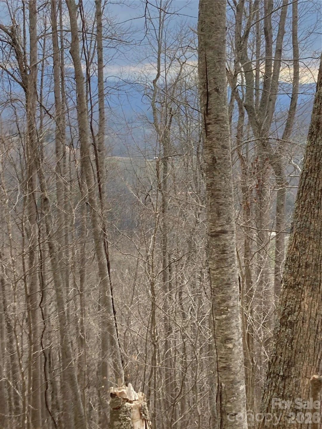 00 Sweet Creek Road - Photo 48