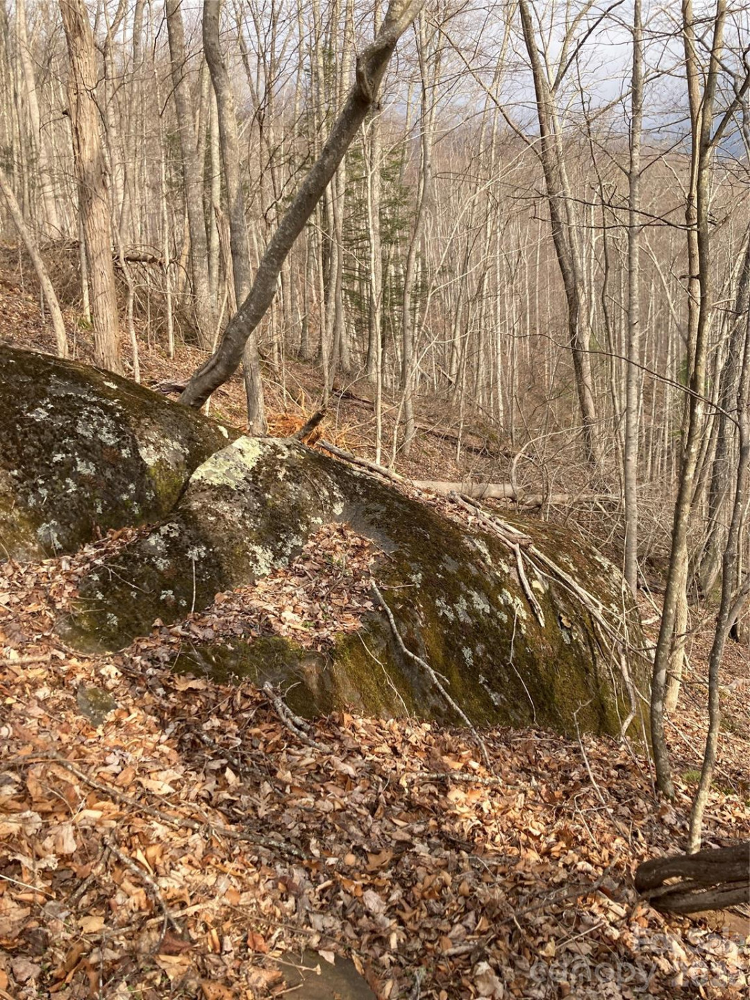 00 Sweet Creek Road - Photo 49