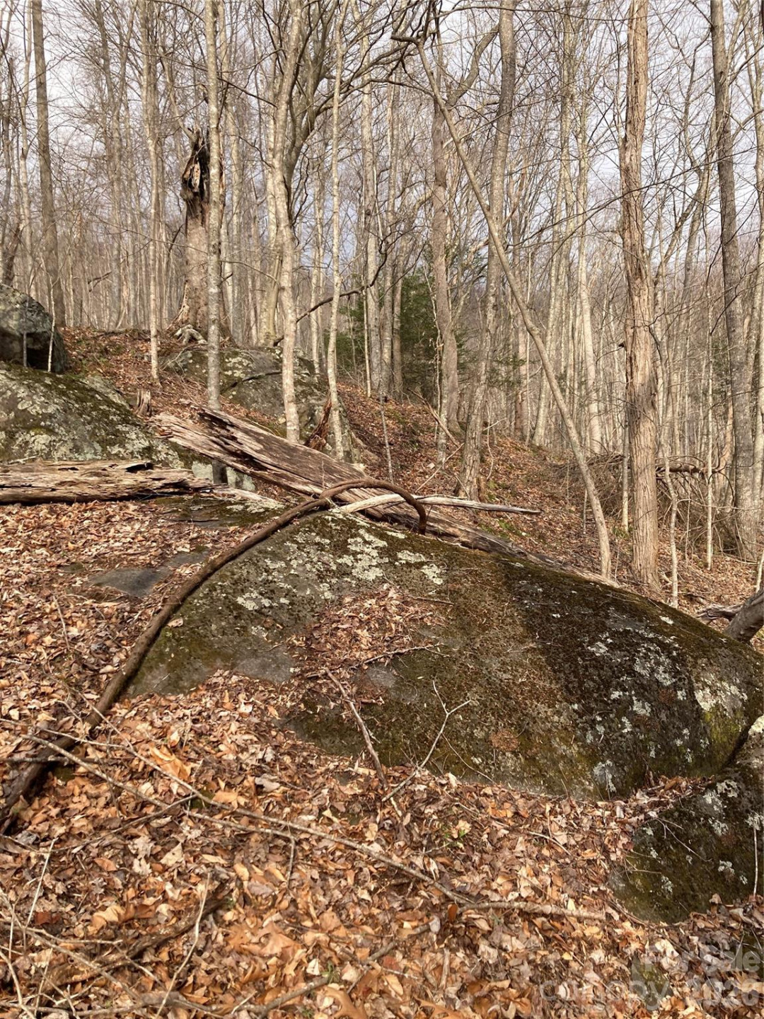 00 Sweet Creek Road - Photo 50