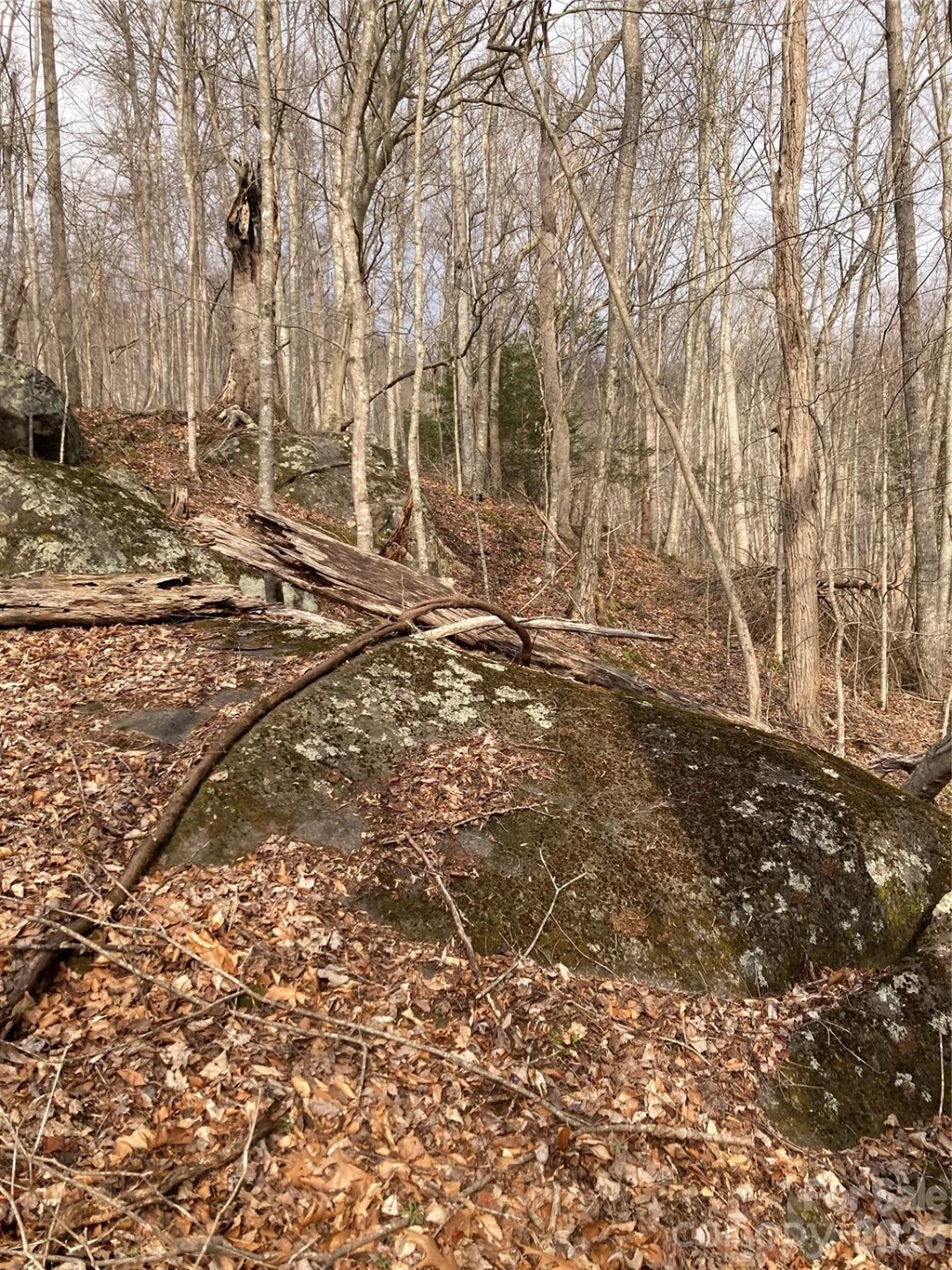 00 Sweet Creek Road - Photo 50