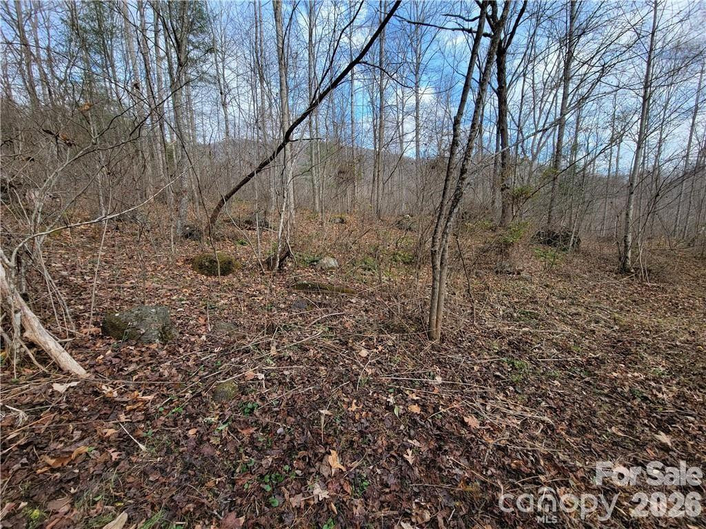 00 Sweet Creek Road - Photo 5