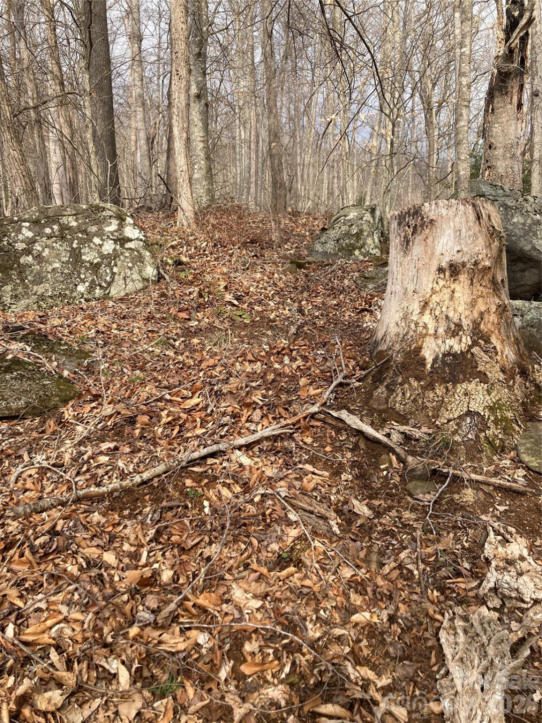 00 Sweet Creek Road - Photo 51