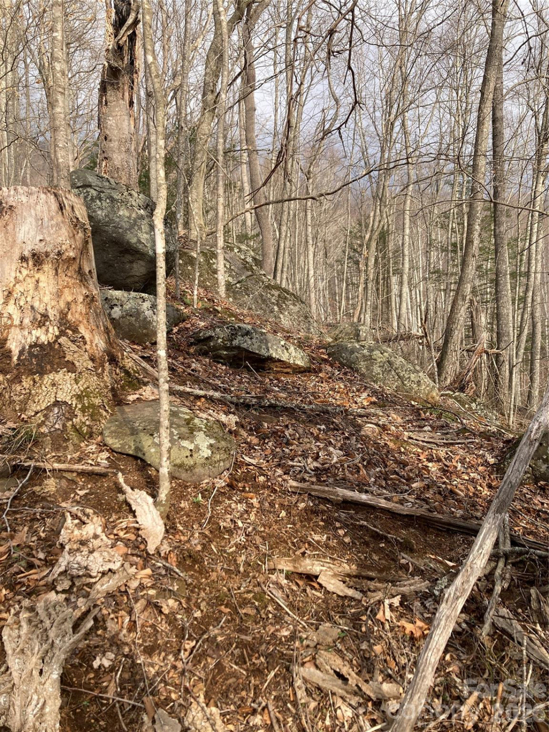 00 Sweet Creek Road - Photo 52