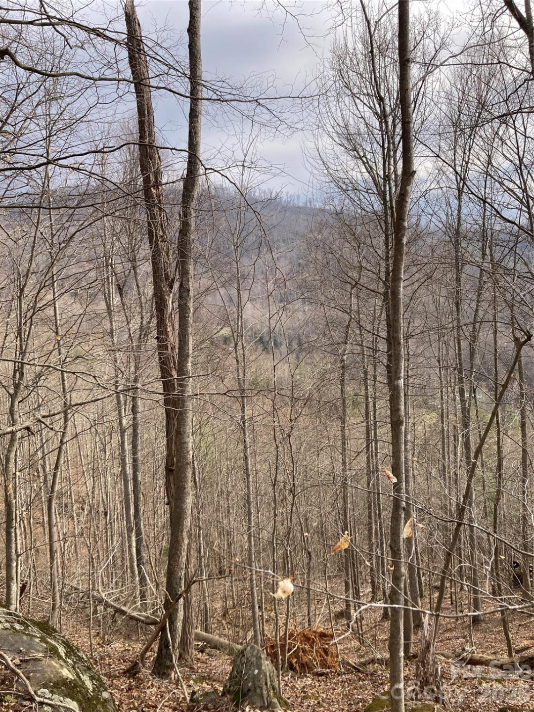 00 Sweet Creek Road - Photo 53