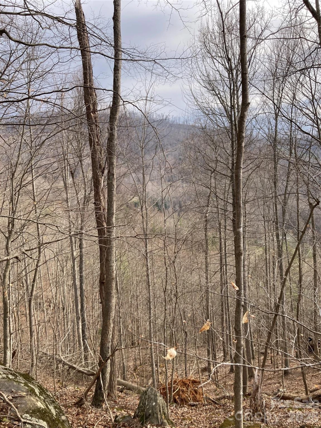 00 Sweet Creek Road - Photo 53