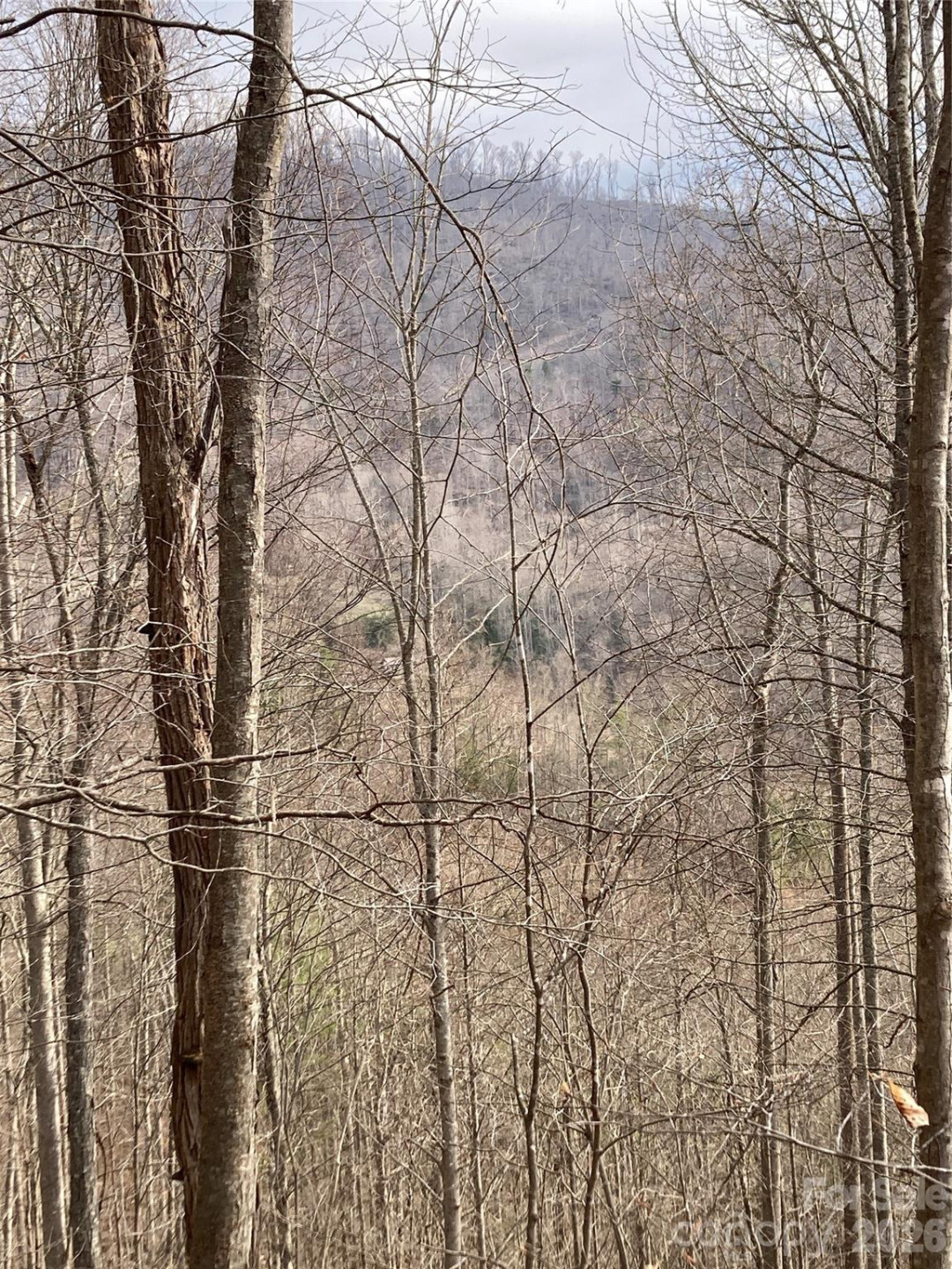 00 Sweet Creek Road - Photo 54