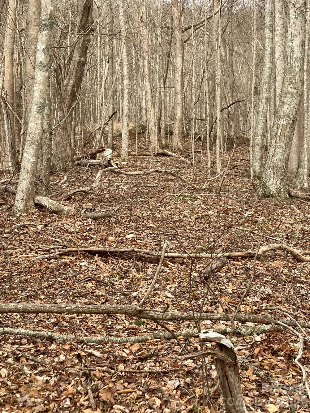 00 Sweet Creek Road - Photo 55