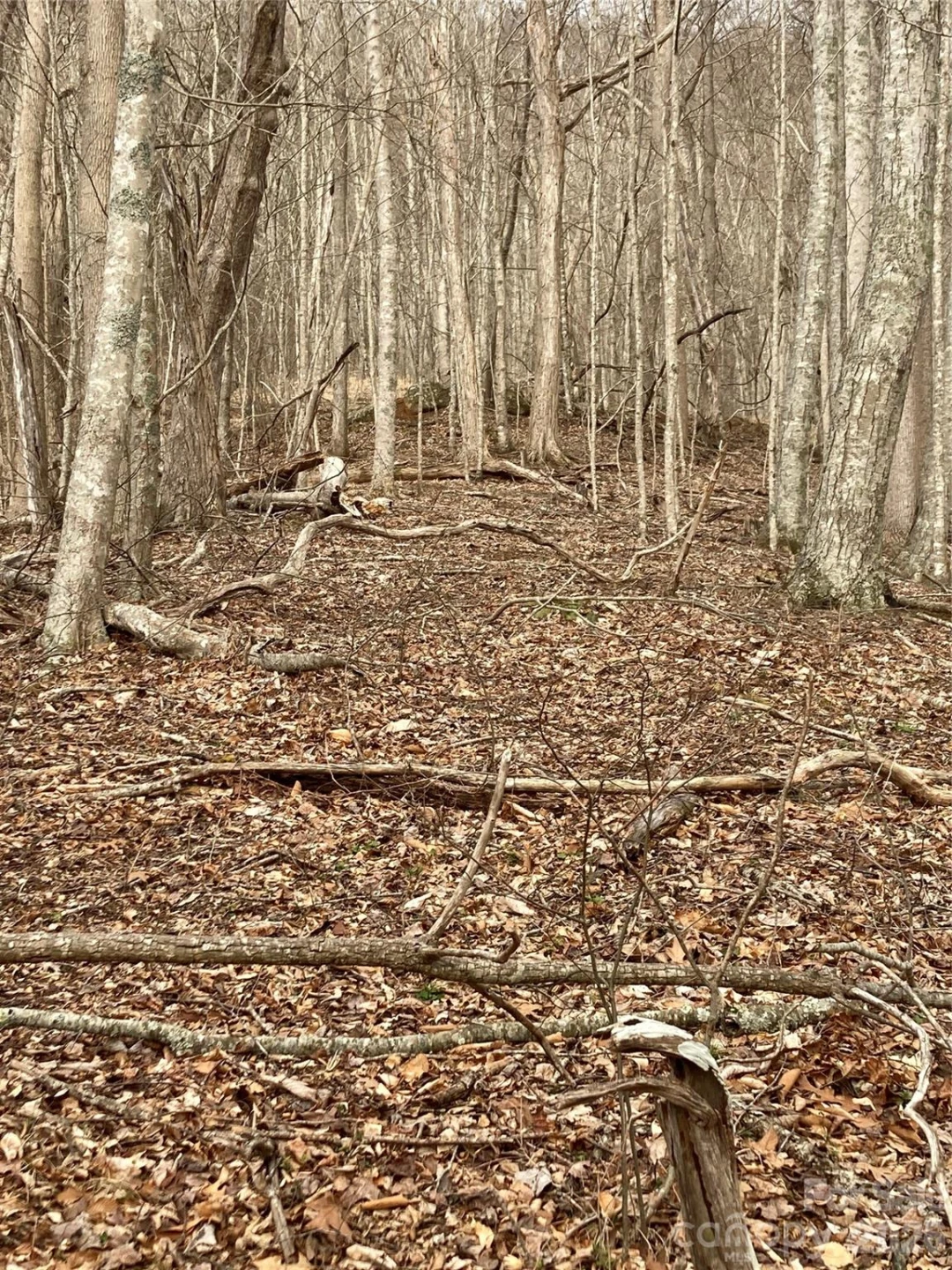 00 Sweet Creek Road - Photo 55