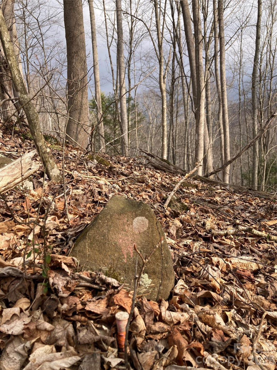 00 Sweet Creek Road - Photo 57