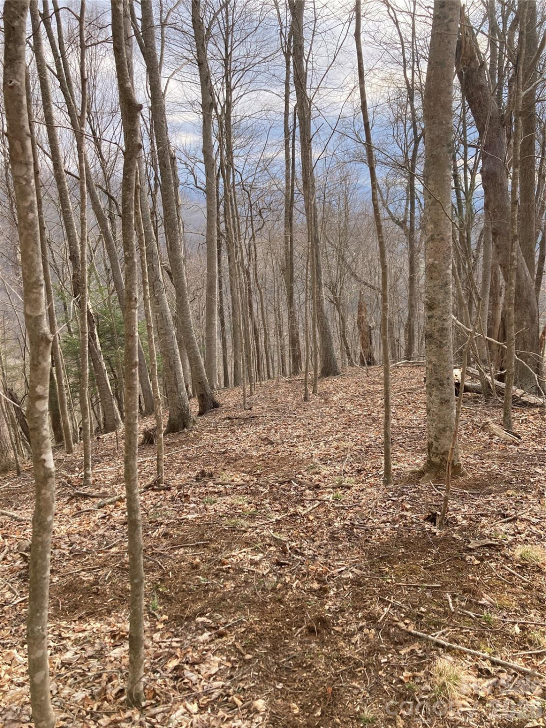 00 Sweet Creek Road - Photo 58