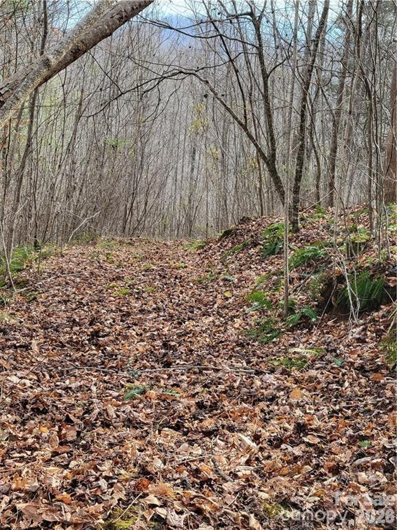 00 Sweet Creek Road - Photo 6