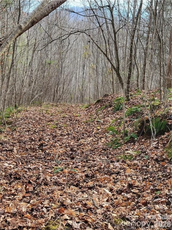 00 Sweet Creek Road - Photo 6