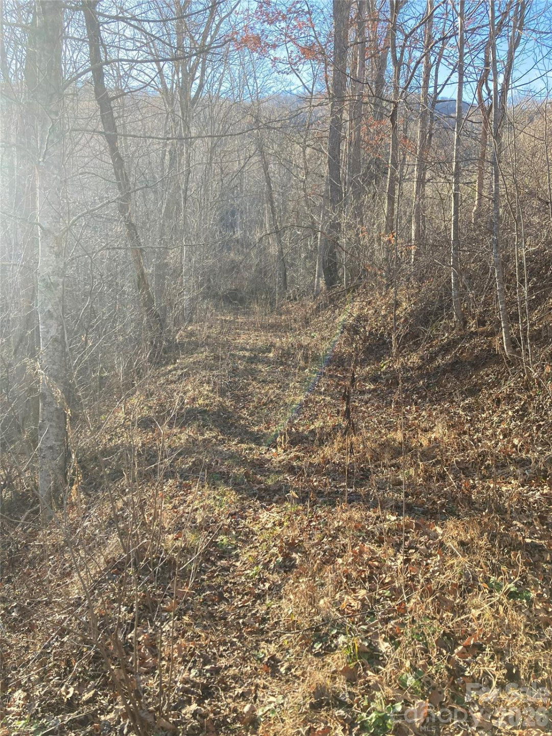 00 Sweet Creek Road - Photo 7