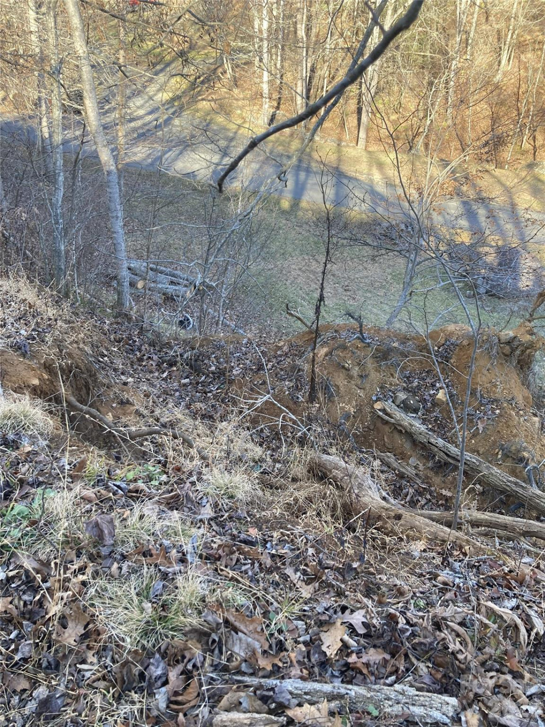 00 Sweet Creek Road - Photo 9